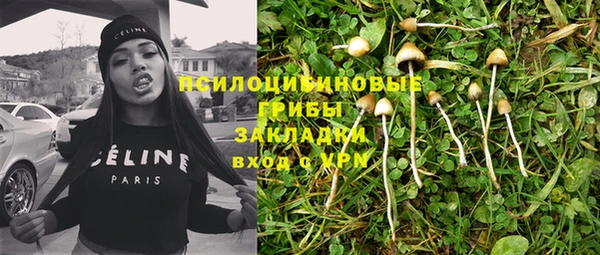 мдпв Богородск