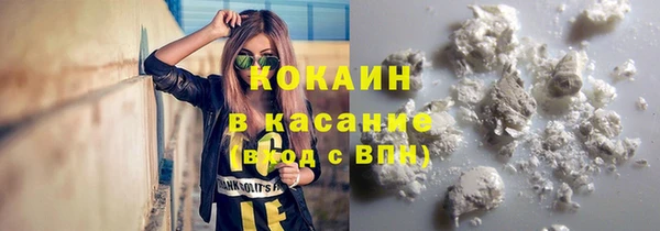мдпв Богородск