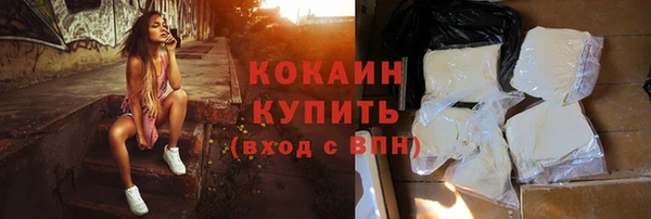 мдпв Богородск
