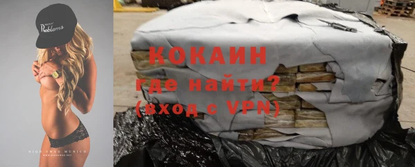 мдпв Богородск