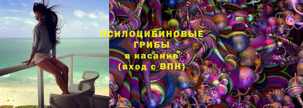 мдпв Богородск