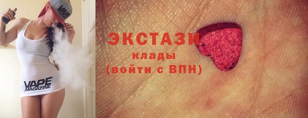 мдпв Богородск