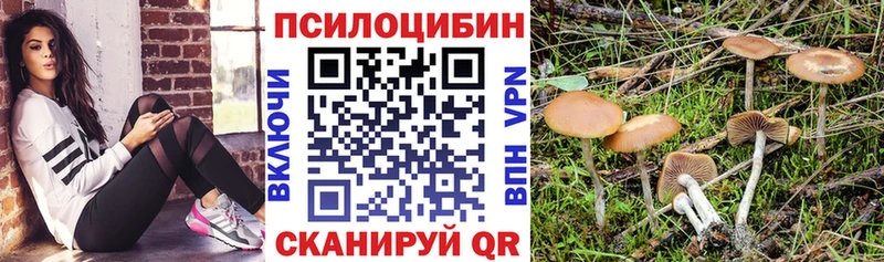 Псилоцибиновые грибы Magic Shrooms Новороссийск