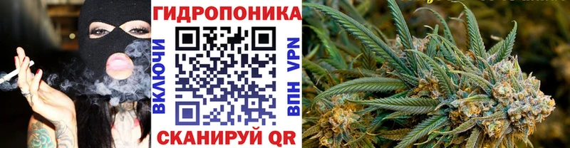 OMG сайт  Новороссийск  Каннабис тримм 